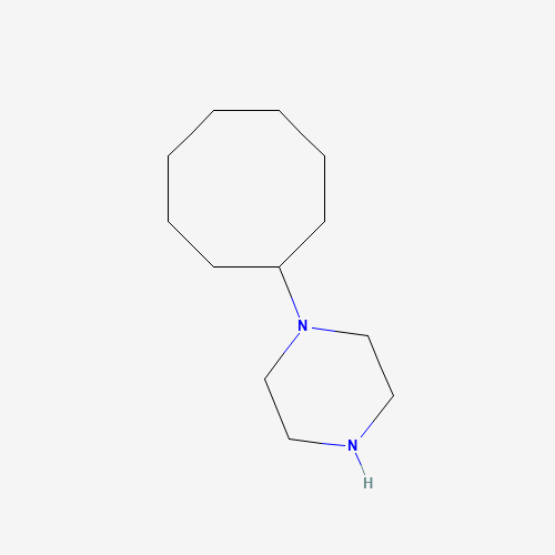 21043-43-6 1-CYCLOOCTYLPIPERAZINE chemical structure