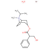 66985-17-9 3-(3-Hydroxy-1-oxo-2-phenylpropoxy)-8-methyl-8-(1-methylethyl)-8-azoniabicyclo(3.2.1)octane bromide monohydrate chemical structure