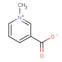 535-83-1 1-Methyl-3-pyridiniumcarboxylate chemical structure