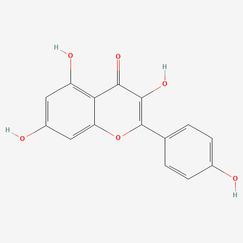 520-18-3 Kaempferol chemical structure