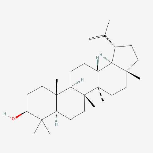 545-47-1 Lupeol chemical structure